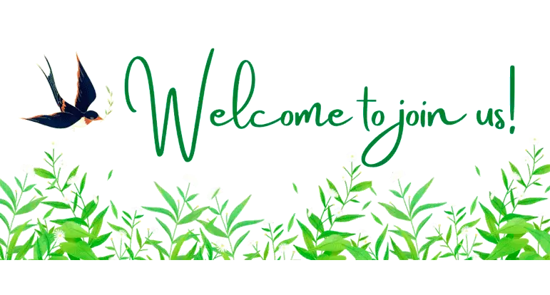 78805a221a988e79ef3f42d7c5bfd418 1749519525