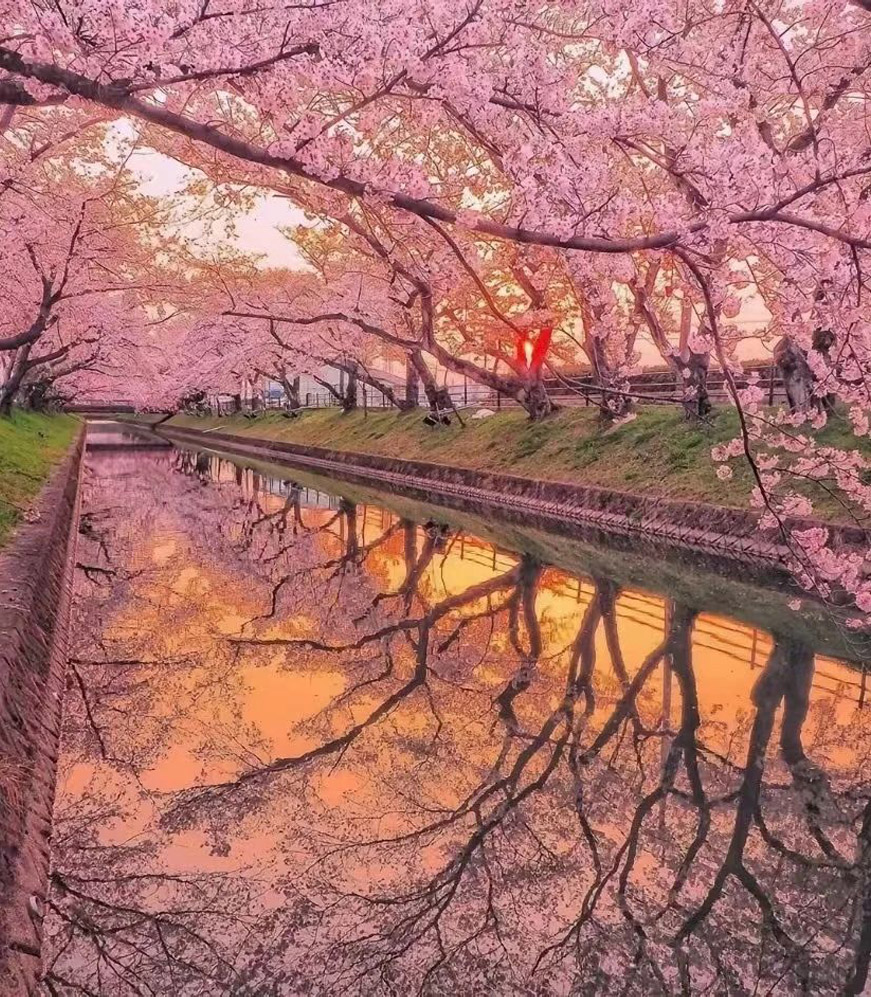 Wuhan,_Hubei-2.jpg 78805a221a988e79ef3f42d7c5bfd418 1749454071