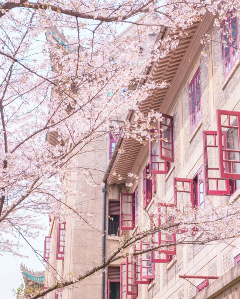 Wuhan,_Hubei-5.jpg 78805a221a988e79ef3f42d7c5bfd418 1749454107