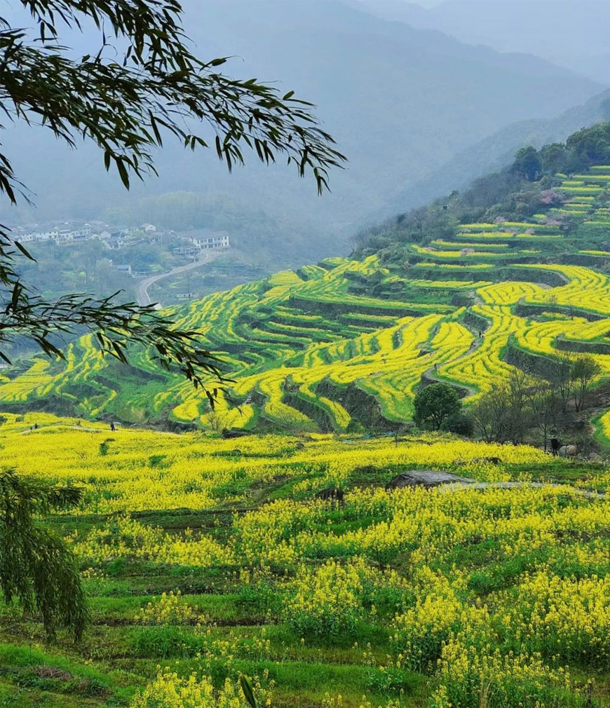 Fuzhi_Mountain,_Zhejiang-1.jpg 78805a221a988e79ef3f42d7c5bfd418 1749454201