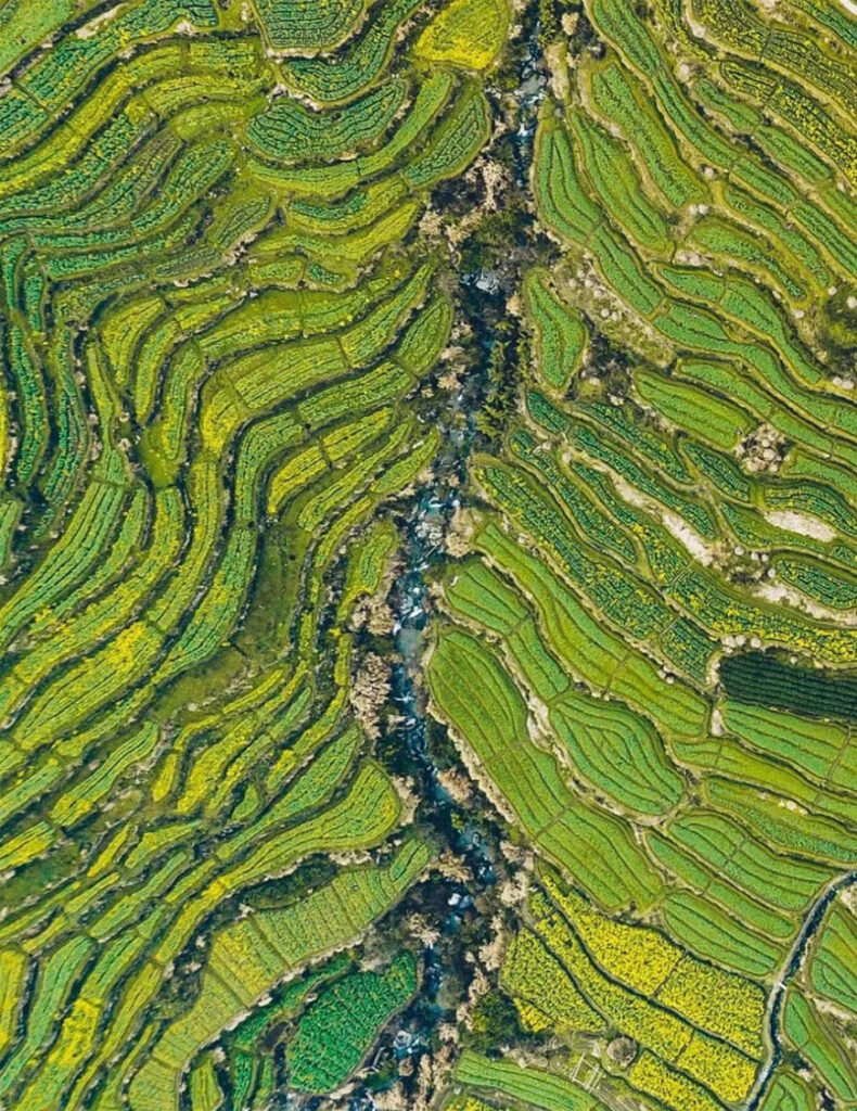 Fuzhi_Mountain,_Zhejiang-2.jpg 78805a221a988e79ef3f42d7c5bfd418 1749454212