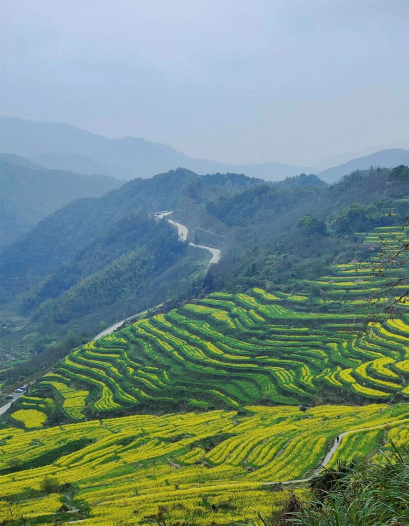 Fuzhi_Mountain,_Zhejiang-3.jpg 78805a221a988e79ef3f42d7c5bfd418 1749454266