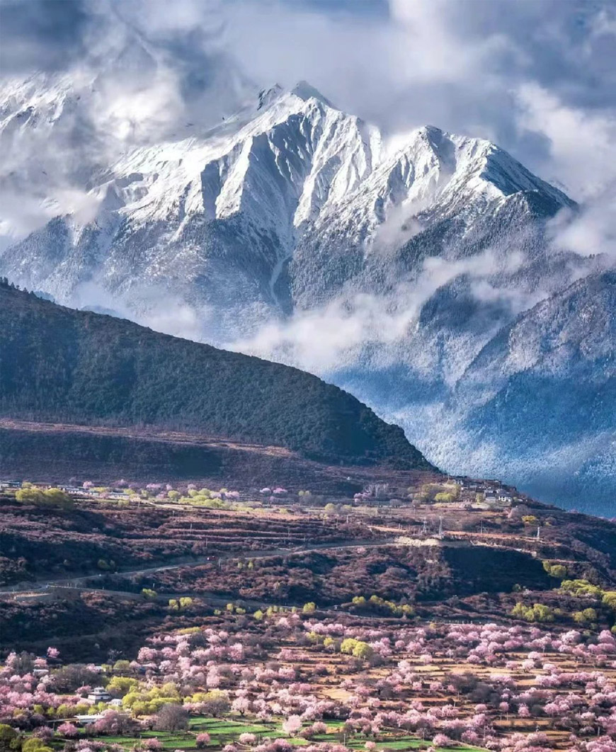 78805a221a988e79ef3f42d7c5bfd418 1749454405 2