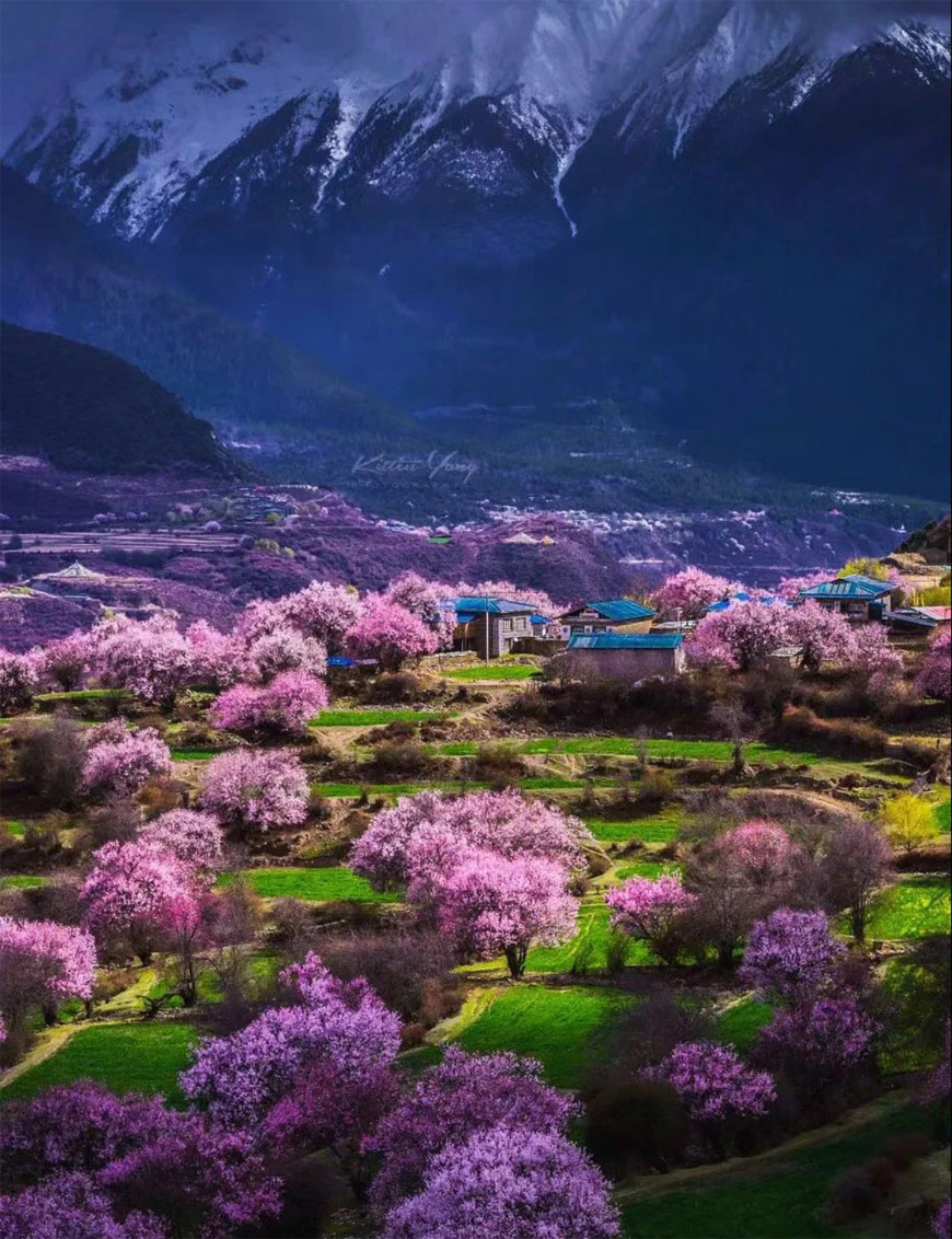 78805a221a988e79ef3f42d7c5bfd418 1749454405 3