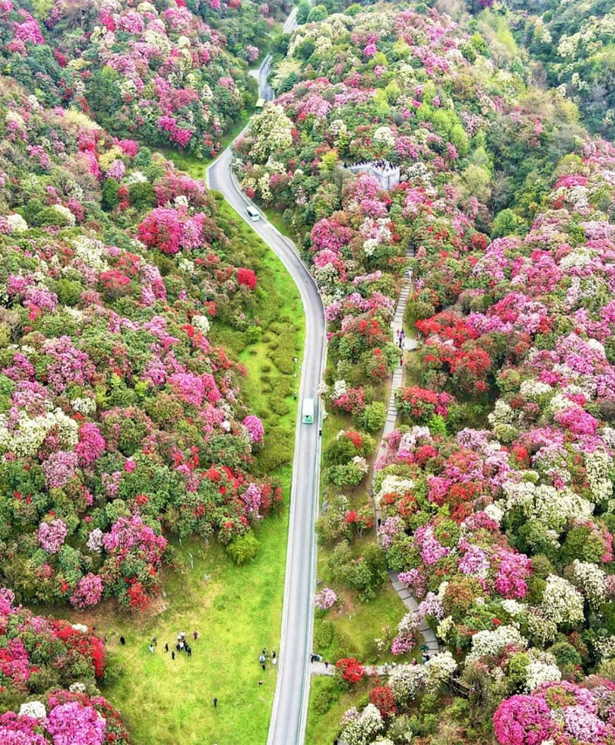 78805a221a988e79ef3f42d7c5bfd418 1749454410