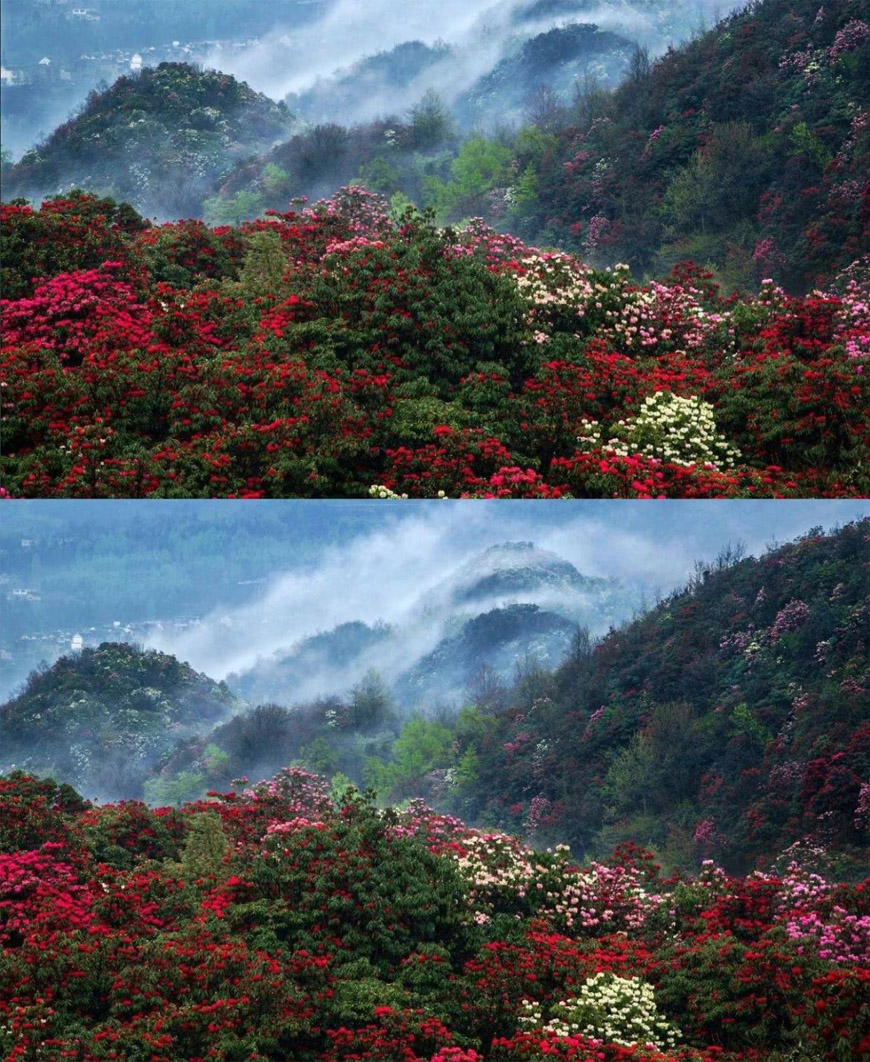 78805a221a988e79ef3f42d7c5bfd418 1749454410 1