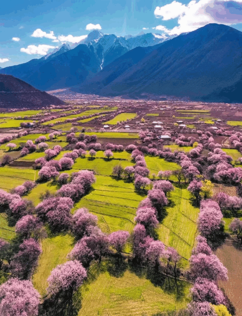 78805a221a988e79ef3f42d7c5bfd418 1749456846