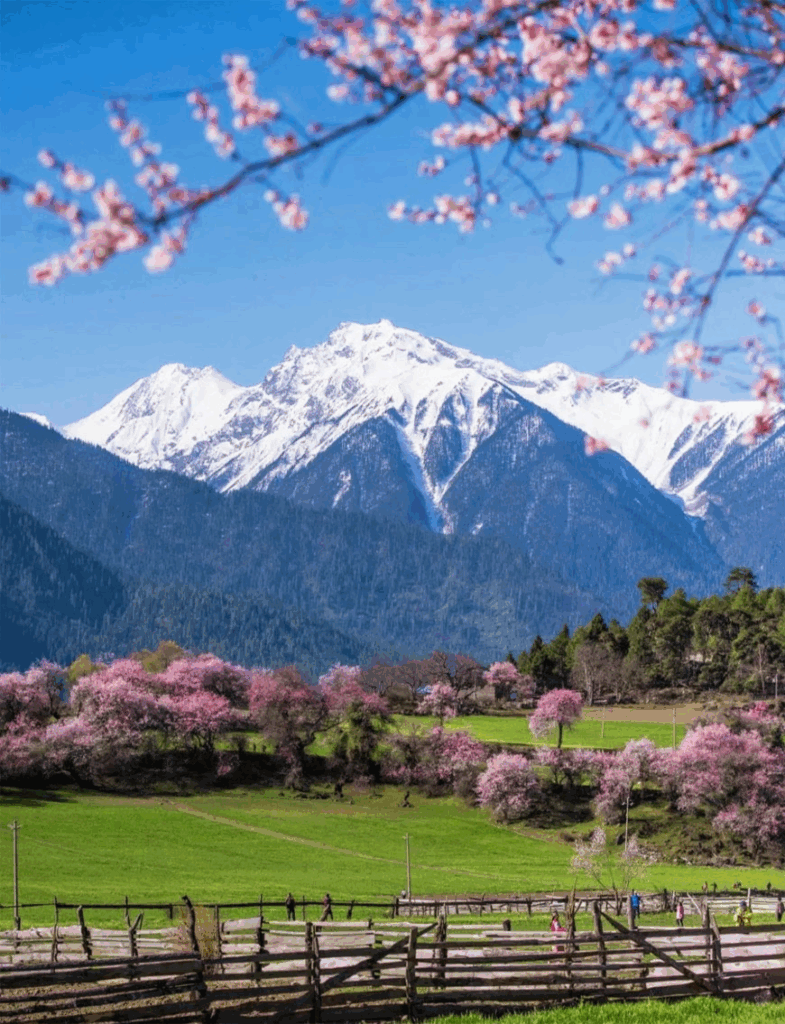 78805a221a988e79ef3f42d7c5bfd418 1749456927