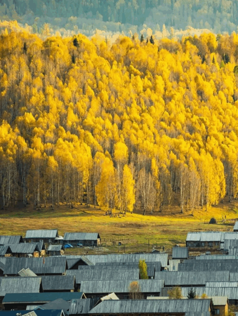 78805a221a988e79ef3f42d7c5bfd418 1749538750