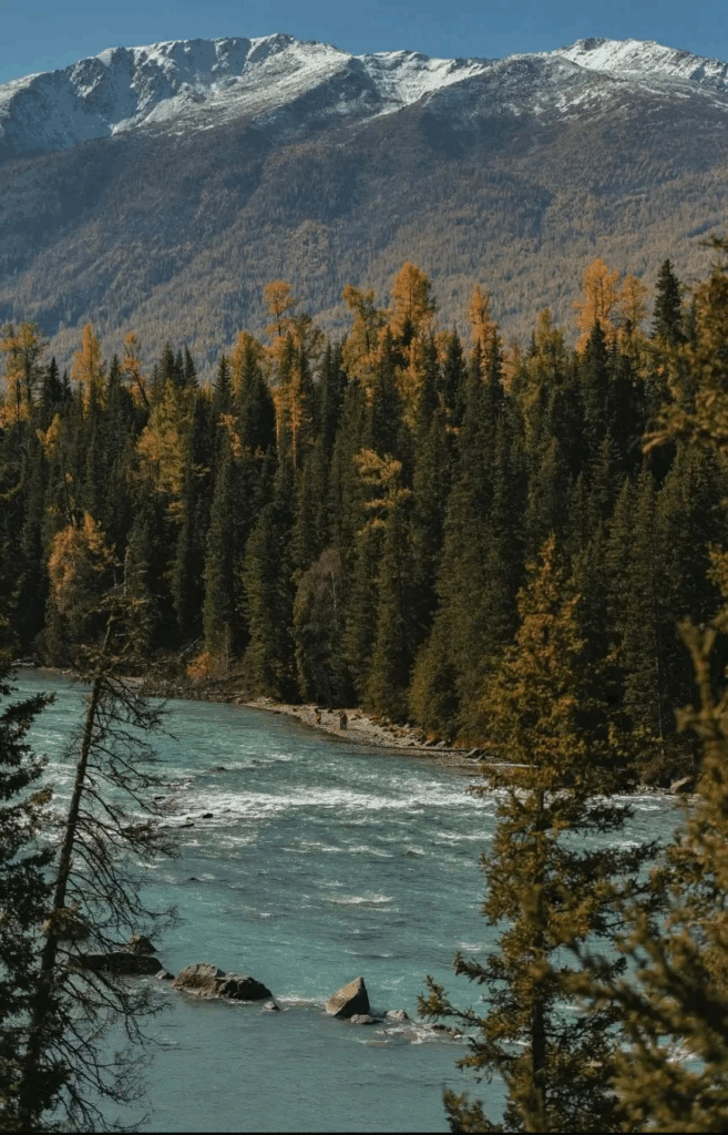 78805a221a988e79ef3f42d7c5bfd418 1749538758