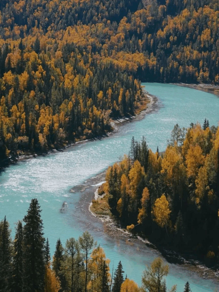 78805a221a988e79ef3f42d7c5bfd418 1749538766