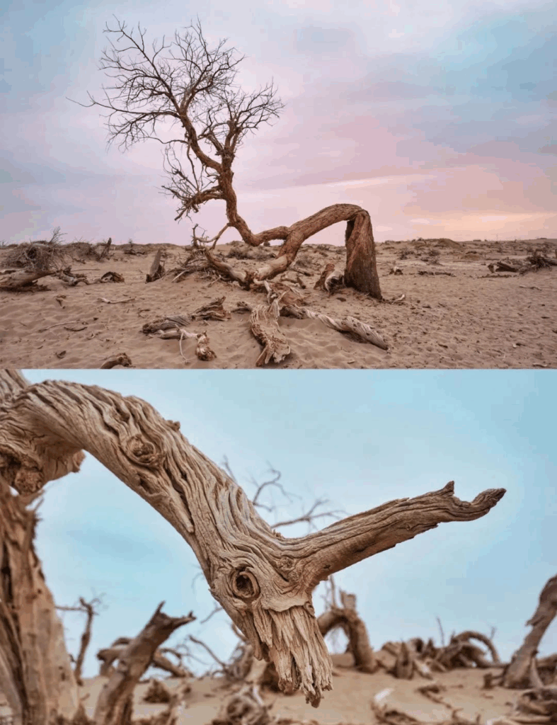 78805a221a988e79ef3f42d7c5bfd418 1749539557