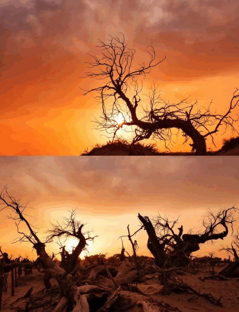 78805a221a988e79ef3f42d7c5bfd418 1749539614