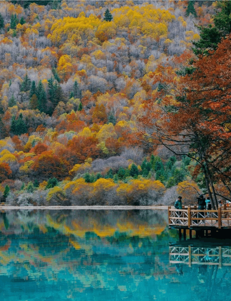 78805a221a988e79ef3f42d7c5bfd418 1749541124