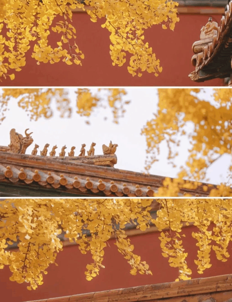 78805a221a988e79ef3f42d7c5bfd418 1749541144