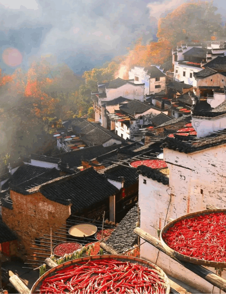 78805a221a988e79ef3f42d7c5bfd418 1749541318