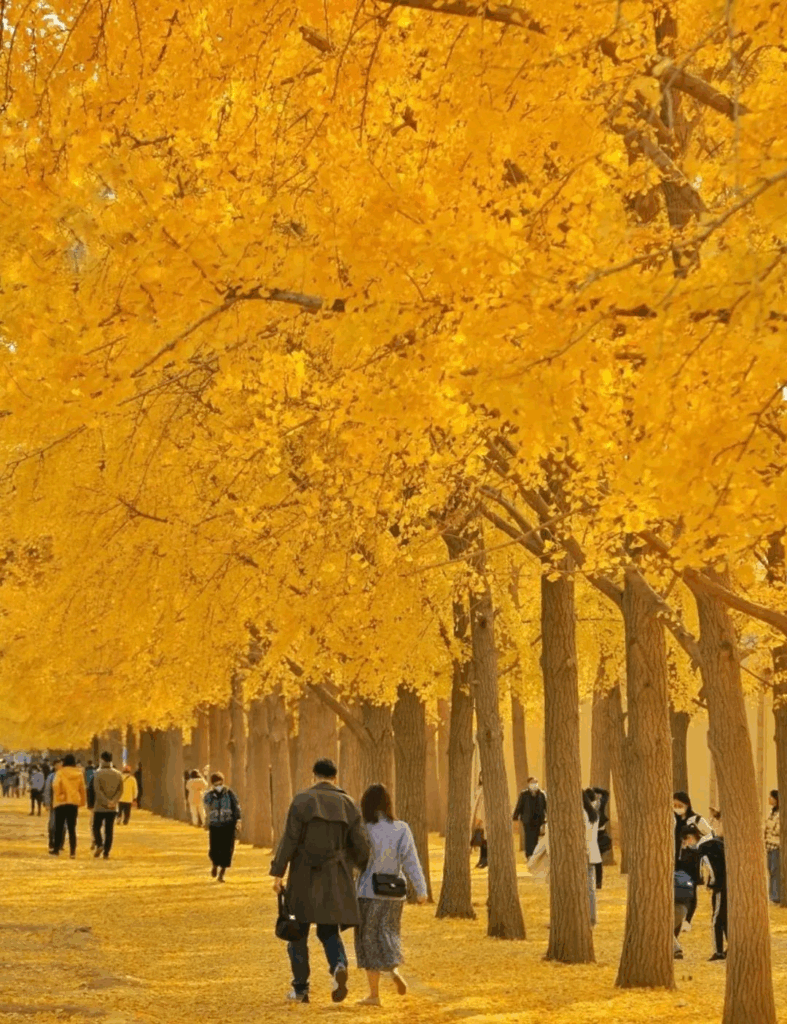 78805a221a988e79ef3f42d7c5bfd418 1749541390