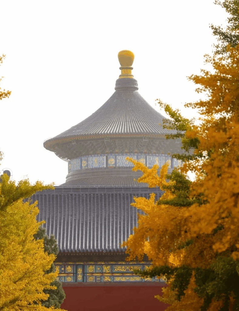 78805a221a988e79ef3f42d7c5bfd418 1749541397