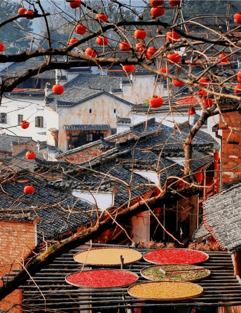 78805a221a988e79ef3f42d7c5bfd418 1749541404