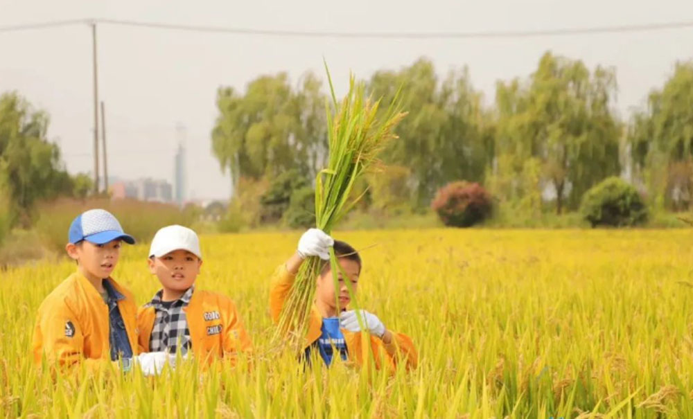 suzhou-silk-mandarin-kids-day-out-in-october-6.jpg 78805a221a988e79ef3f42d7c5bfd418 1749606098