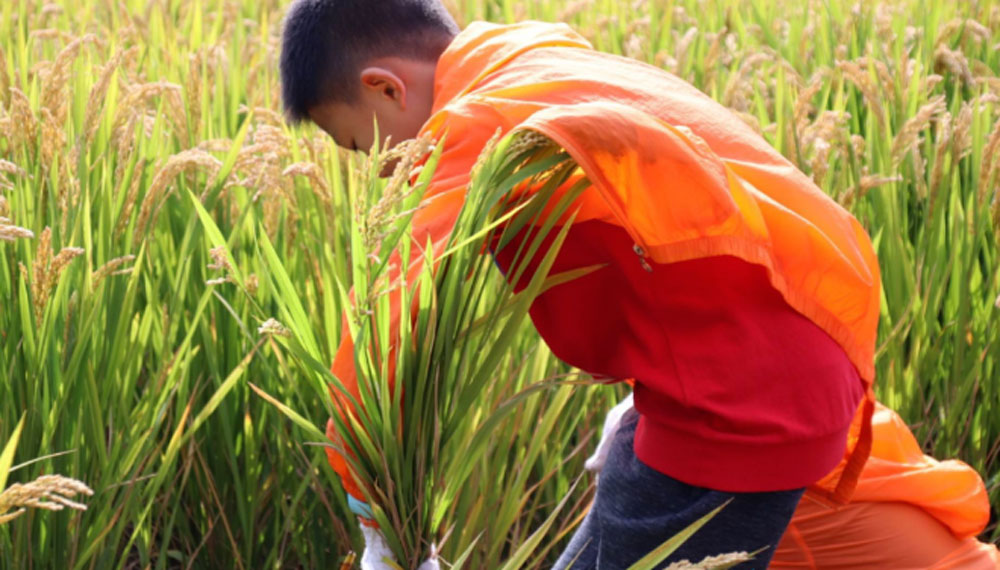 suzhou-silk-mandarin-kids-day-out-in-october-7.jpg 78805a221a988e79ef3f42d7c5bfd418 1749606498