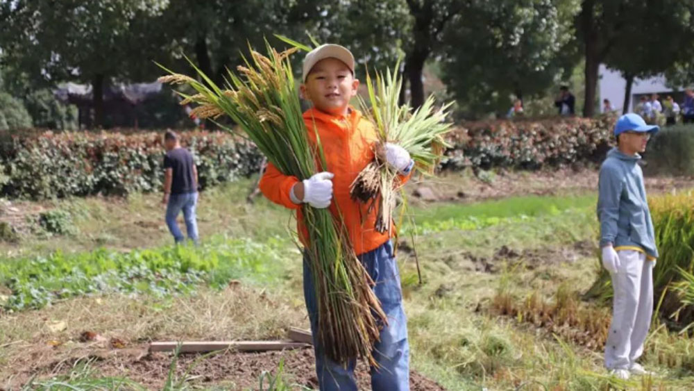suzhou-silk-mandarin-kids-day-out-in-october-9.jpg 78805a221a988e79ef3f42d7c5bfd418 1749606502