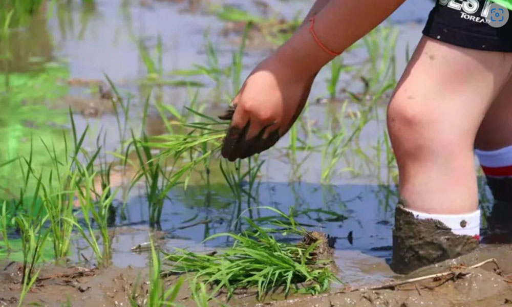 suzhou-silk-mandarin-kids-day-out-in-october-15.jpg 78805a221a988e79ef3f42d7c5bfd418 1749606506
