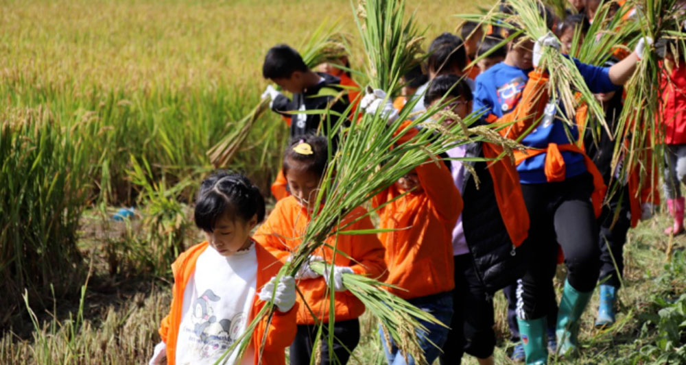 suzhou-silk-mandarin-kids-day-out-in-october-8.jpg 78805a221a988e79ef3f42d7c5bfd418 1749606513
