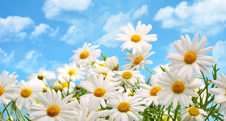 Chinese measure words 78805a221a988e79ef3f42d7c5bfd418 1749707278