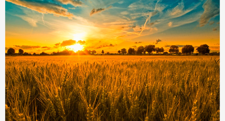 Chinese Character 78805a221a988e79ef3f42d7c5bfd418 1749707420