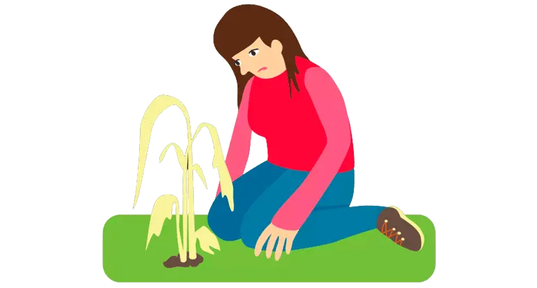 78805a221a988e79ef3f42d7c5bfd418 1749709749